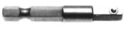 shank